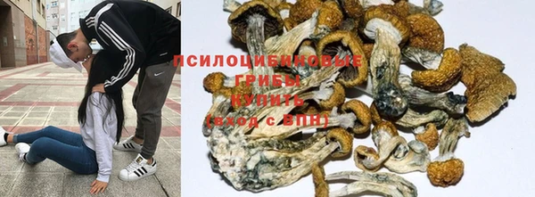 трава Балабаново