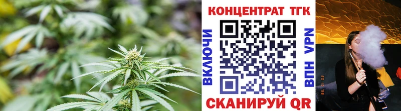 закладка  Болхов  ТГК Wax 